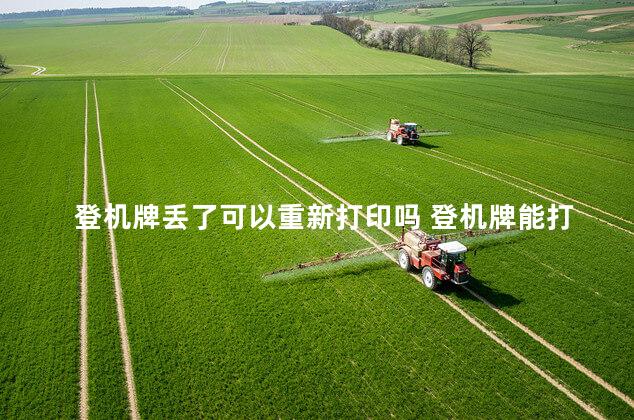 登机牌丢了可以重新打印吗 登机牌能打印第二次吗